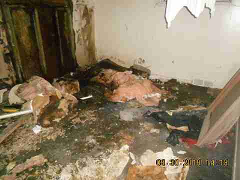 6637 Majestic (27)_m.jpg